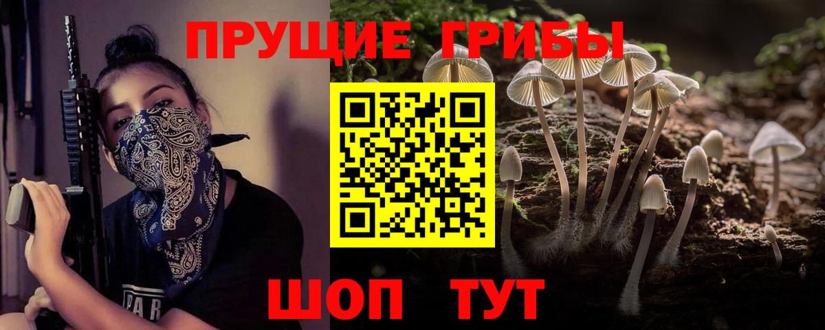 Галлюциногенные грибы MAGIC MUSHROOMS  Псилоцибиновые грибы Psilocybe  Вход с VPN  Воронеж 