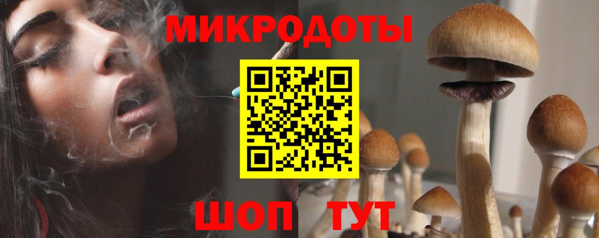 Псилоцибиновые грибы мухоморы Воронеж
